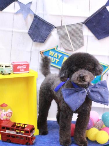 20230405コタロウくん